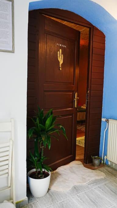 Sahara Studio With Shared Bathroom In City Centre Братислава Екстер'єр фото